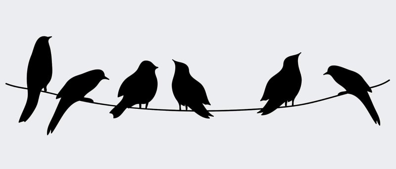 Силуэт птицы на ветке