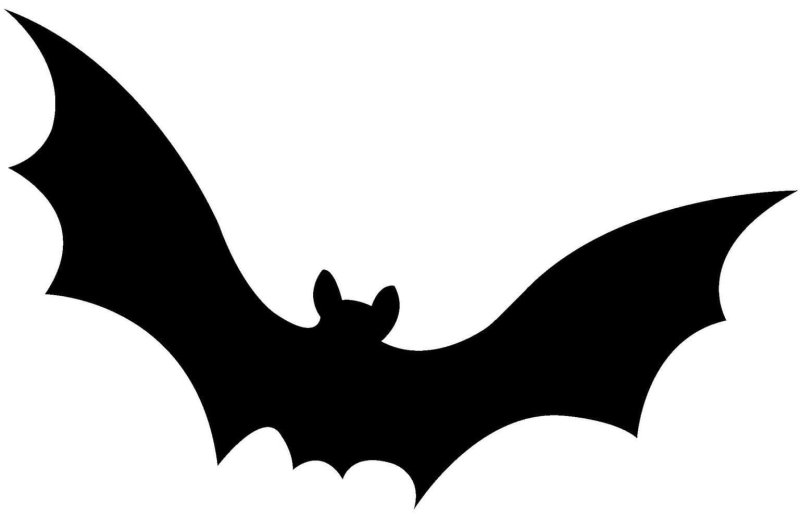 Летучая мышь трафарет