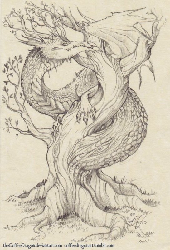 Узоры для выжигания по дереву дракон