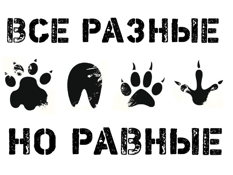 Панковские трафареты