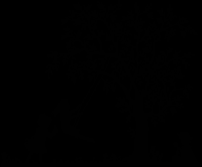 Силуэтное изображение деревьев