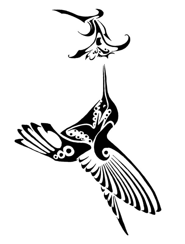 Колибри трафарет