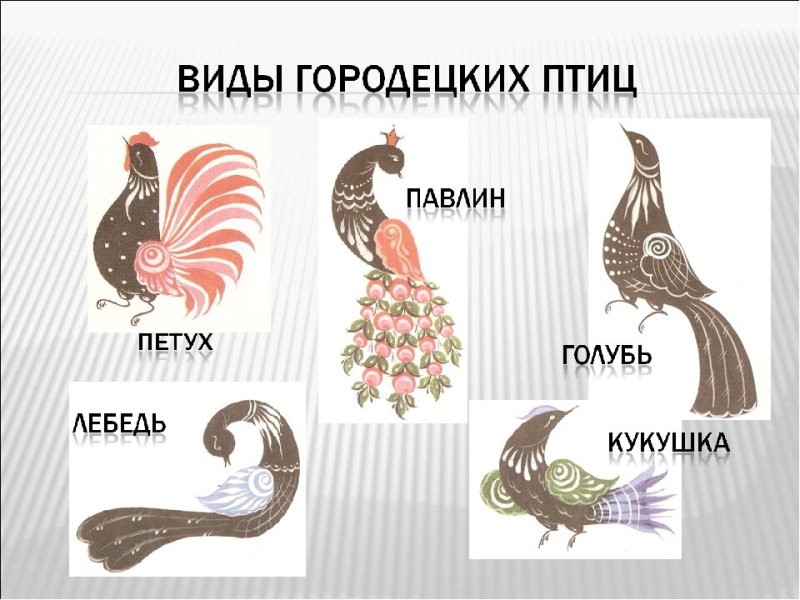 Виды городецких птиц