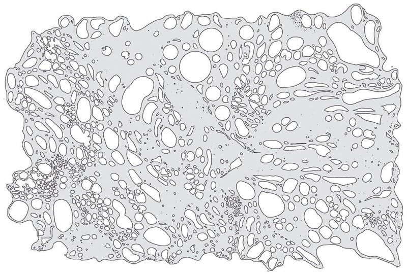 Трафареты для аэрографа