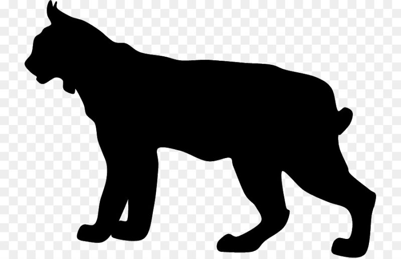 Черно белые силуэты животных