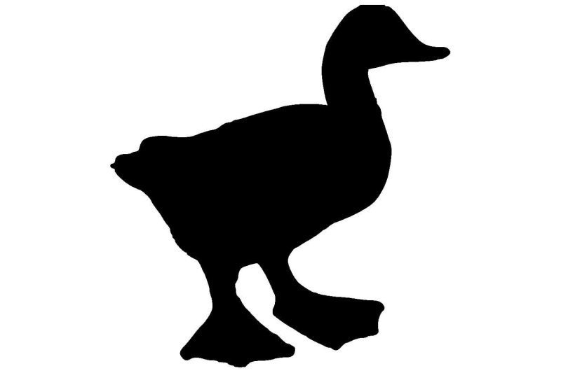 Силуэт уток