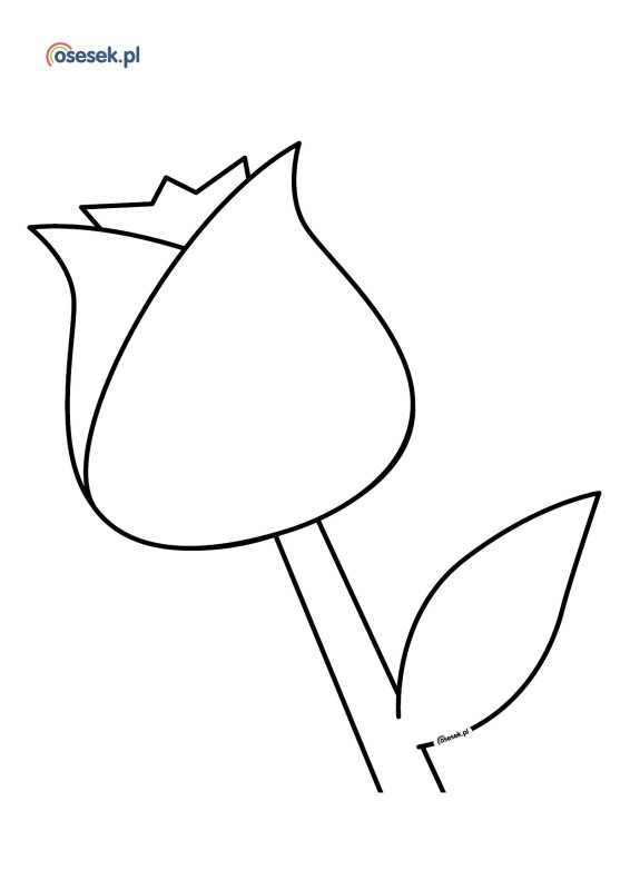 Трафарет тюльпана для вырезания