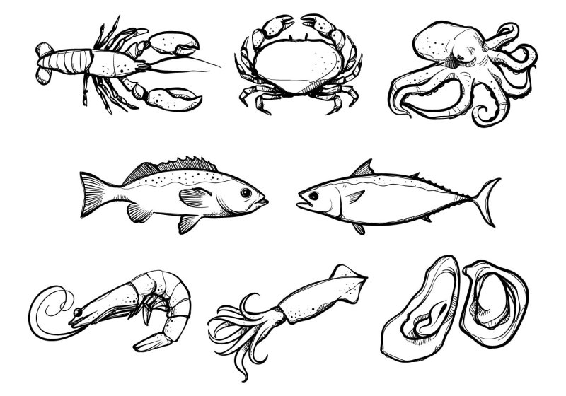 Морепродукты раскраска