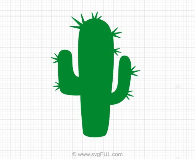 Кактус контур