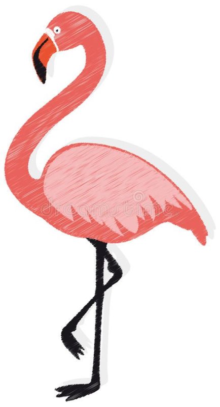 Фламинго очертания