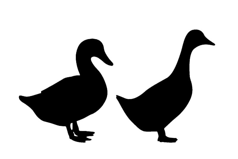 Утка трафарет для вырезания