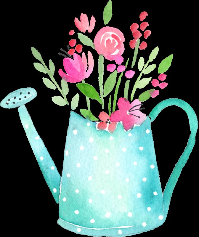 Цветы в лейке