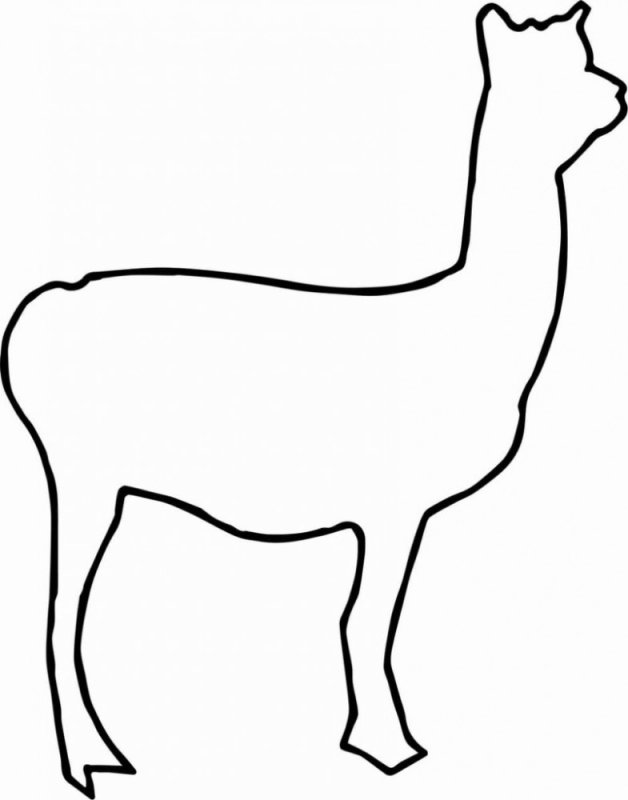 Лама раскраска для детей