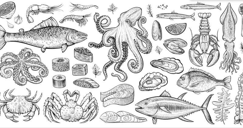 Нарисованные морепродукты
