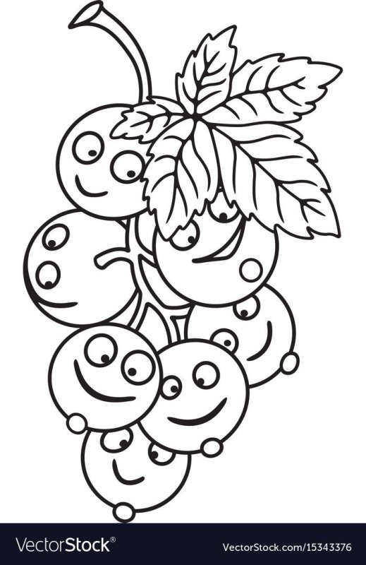 Смородина раскраска для детей