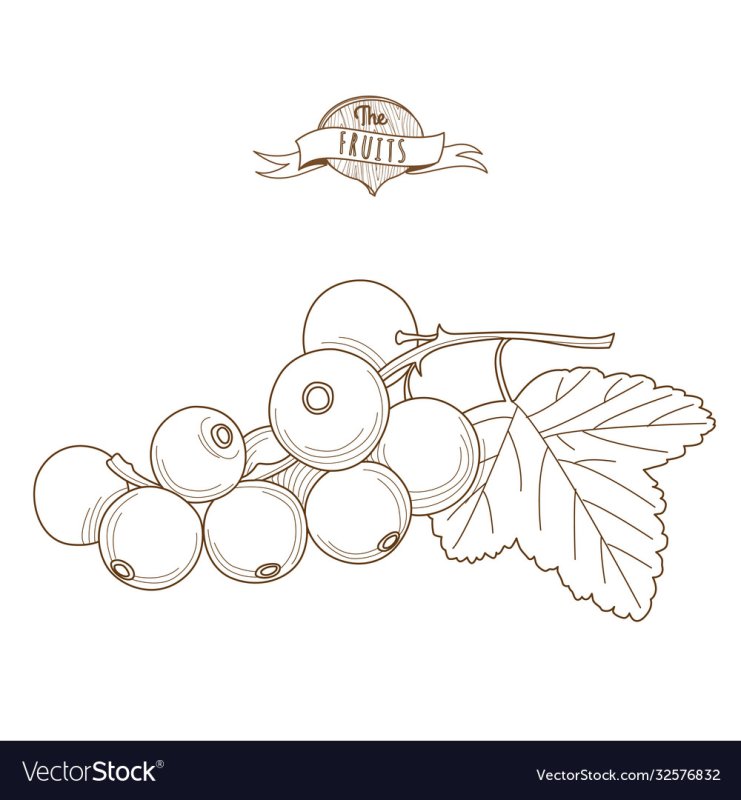 Трафарет ягоды смородина