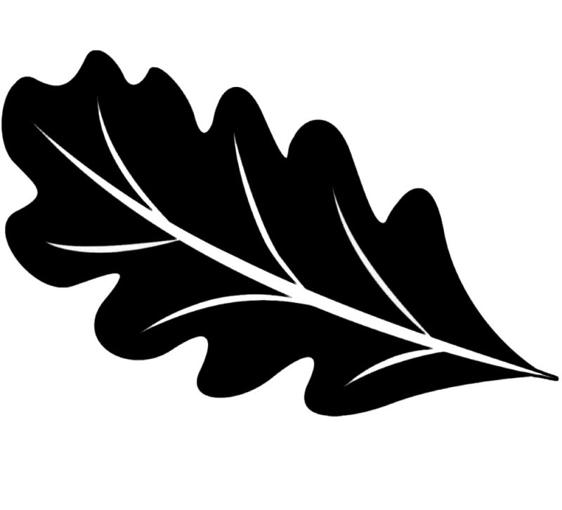 Дубовый лист трафарет