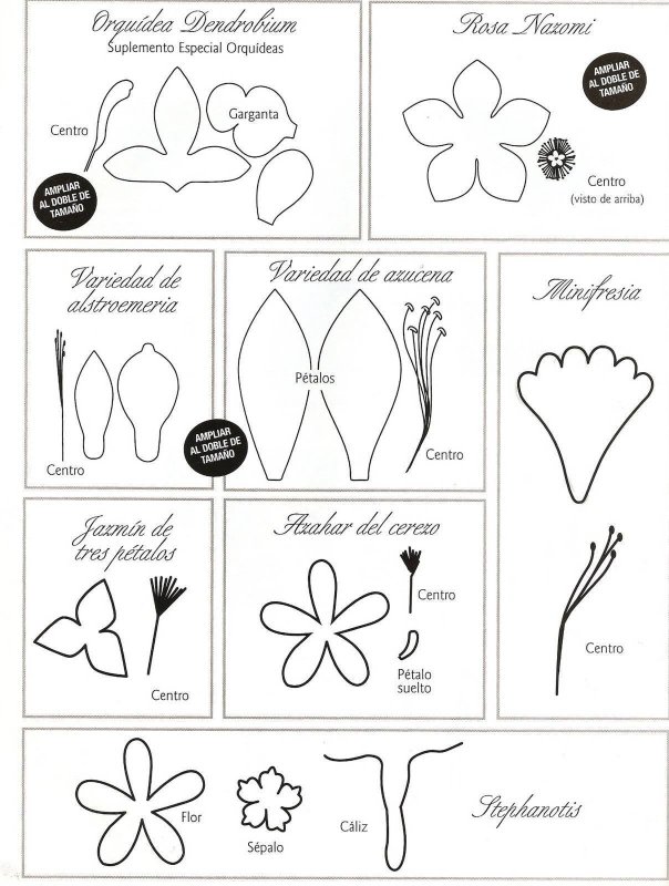 Шаблон цветка для лепки