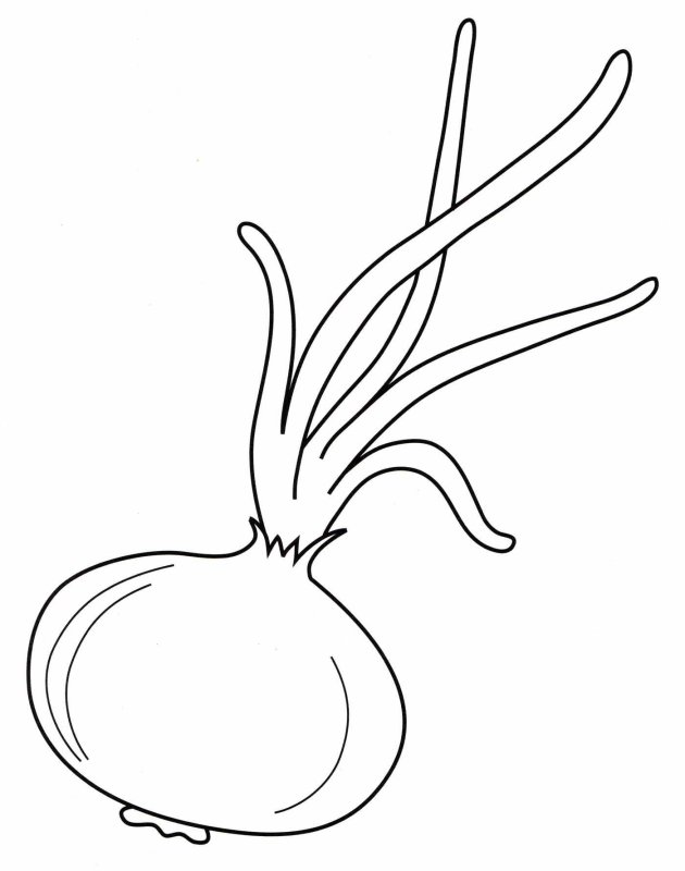 Лук картинка для детей раскраска
