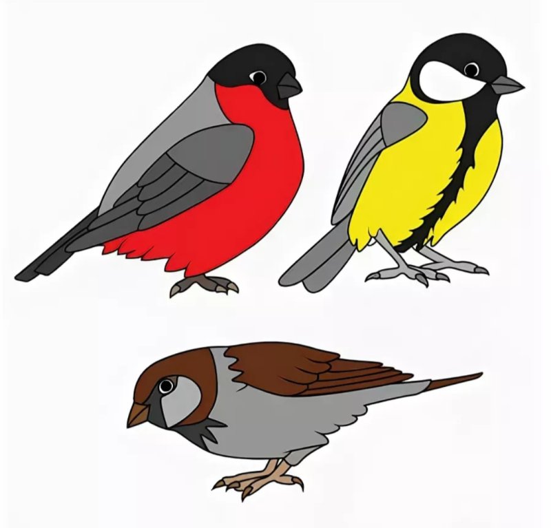 Трафарет синицы и снегиря