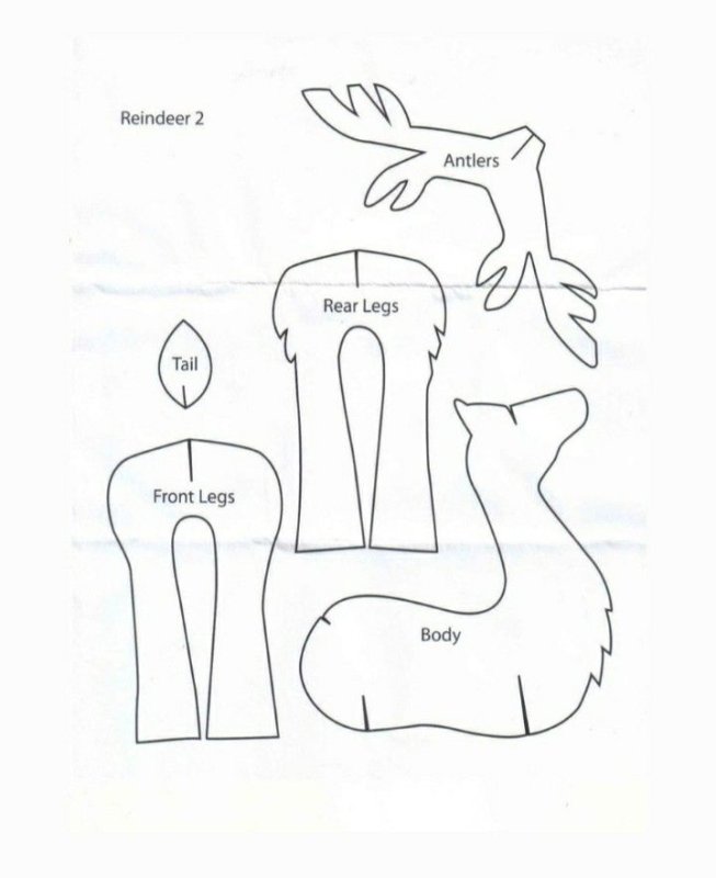 Лекало оленя из картона