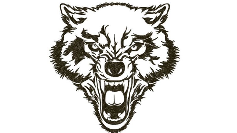 Оскал волка тату эскизы