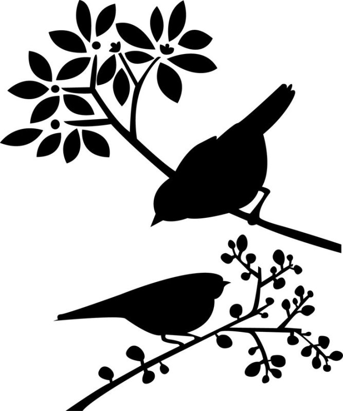 Силуэт птицы