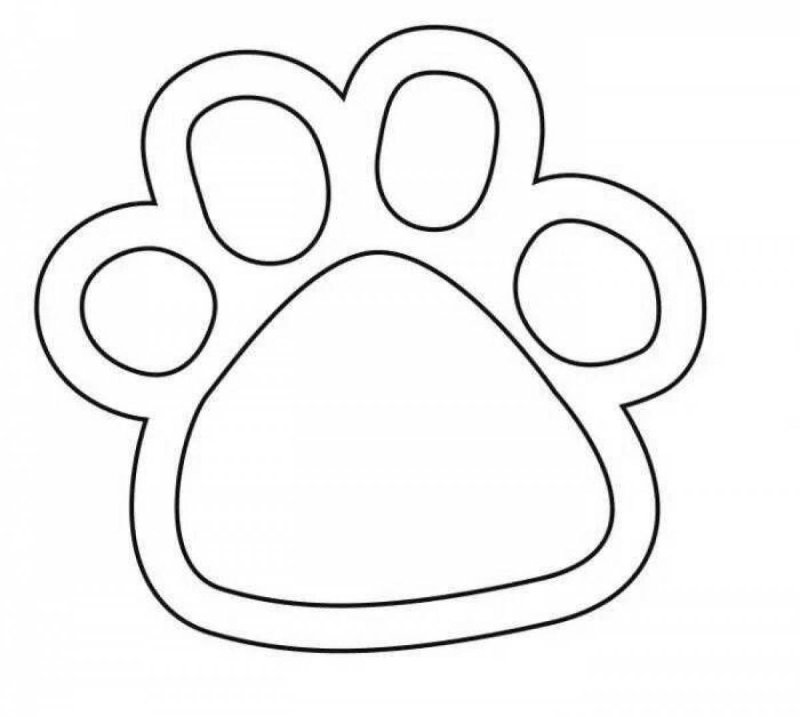 Лапка раскраска