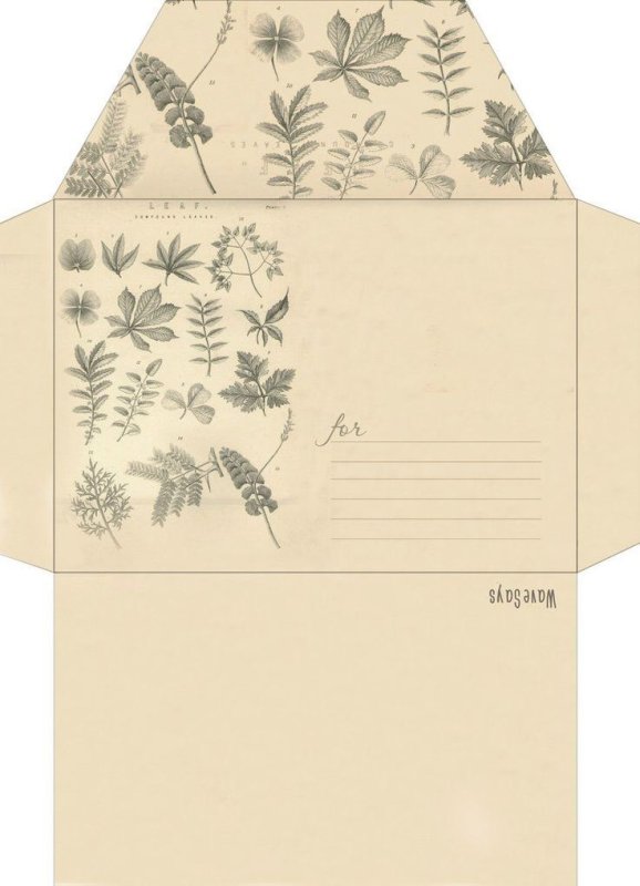 Конверт шаблон