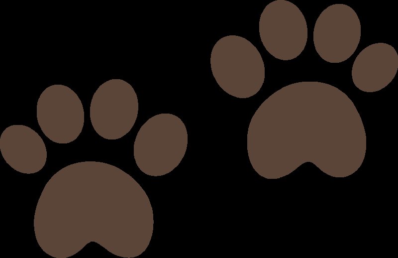 Отпечаток лапок мишки