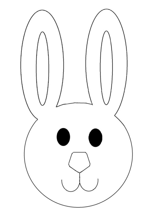 Мордочка зайца