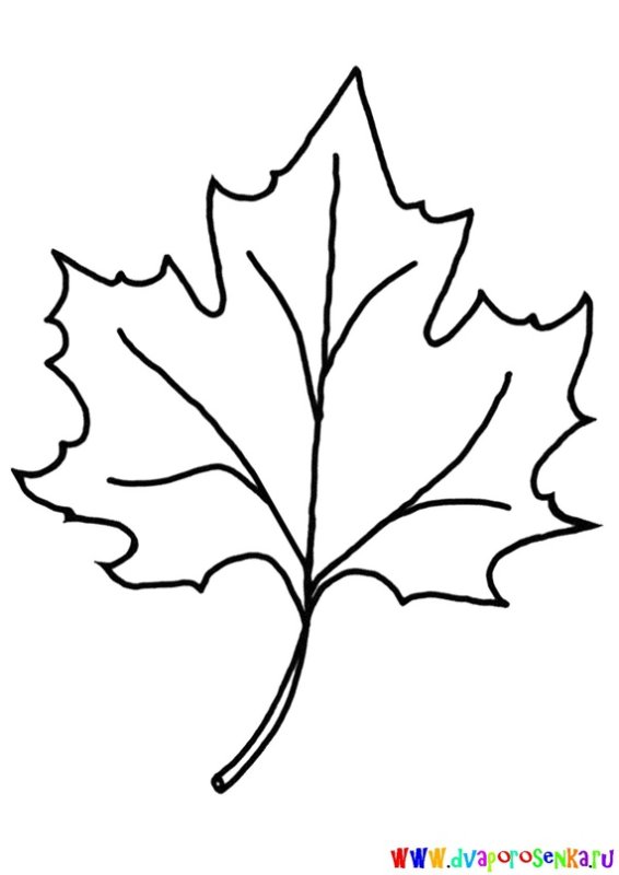 Лист клена раскраска
