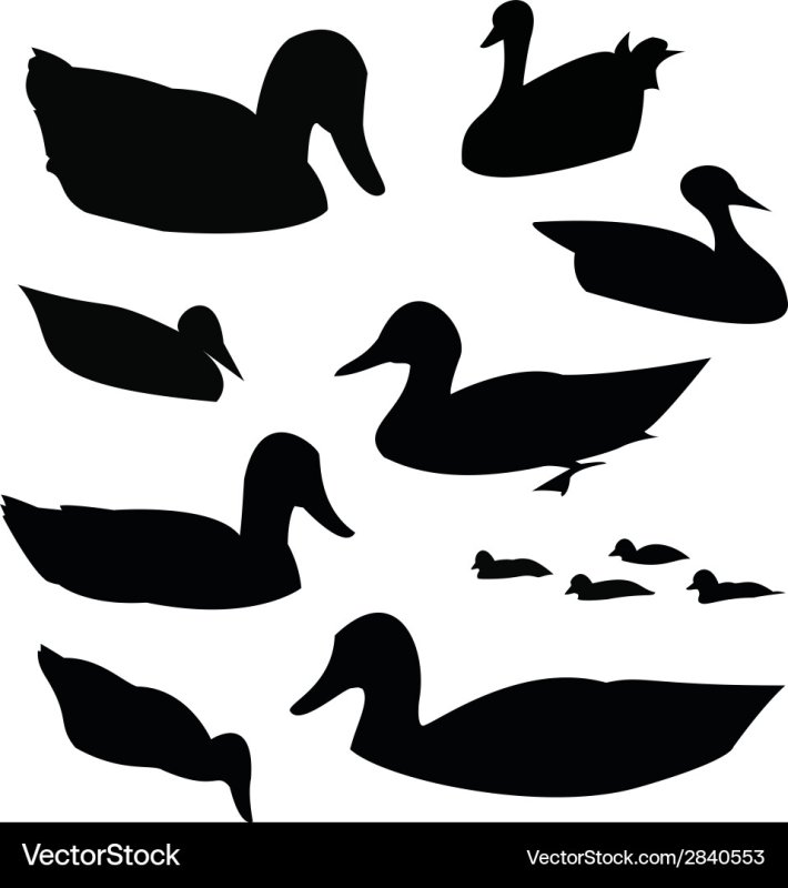 Уточка силуэт