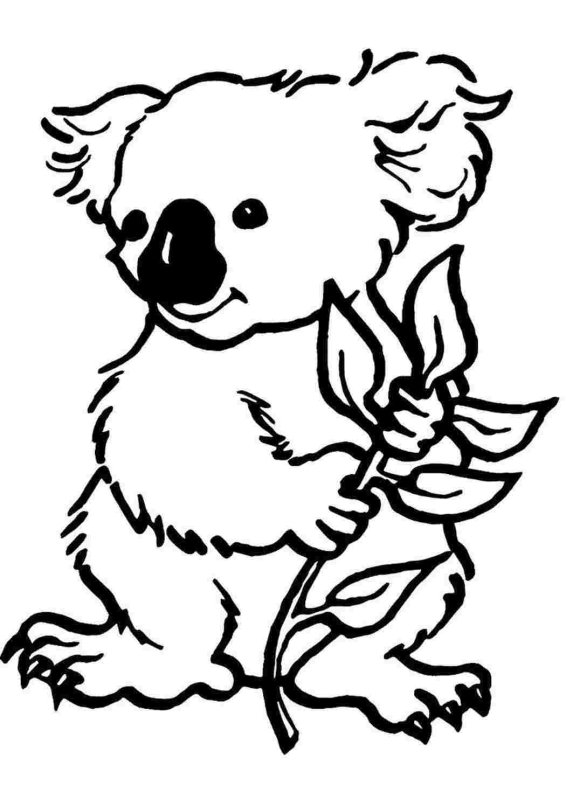 Коала. Раскраска