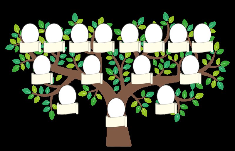 Макет семейного дерева