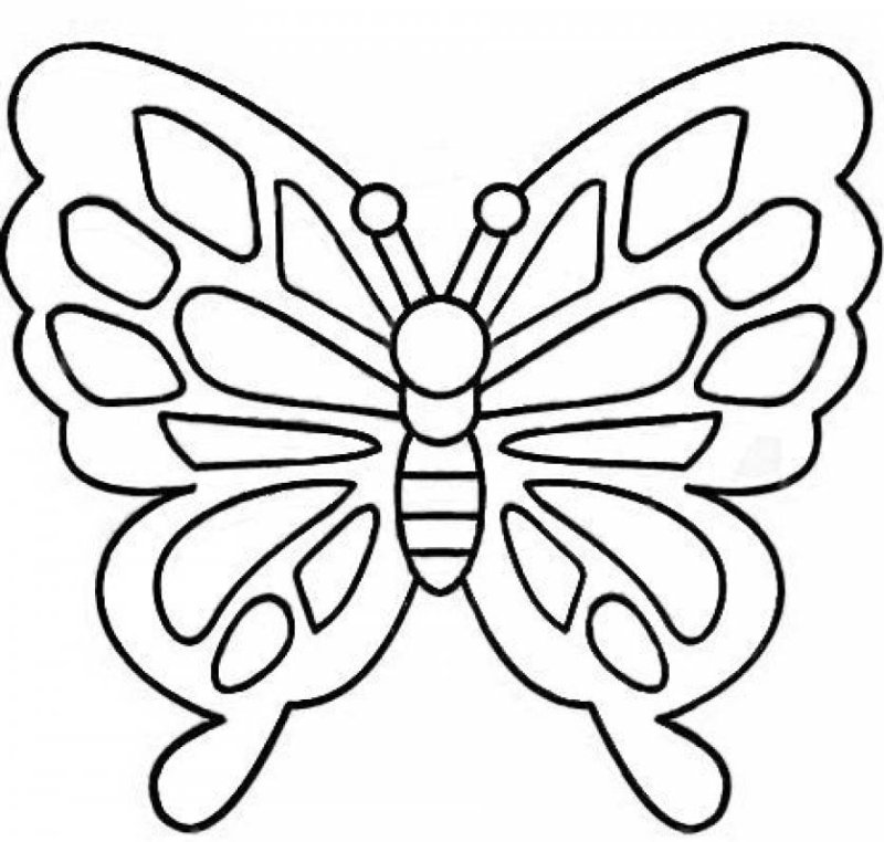 Трафареты бабочки