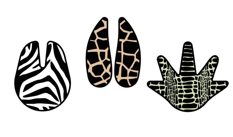 Следы копыт зебры