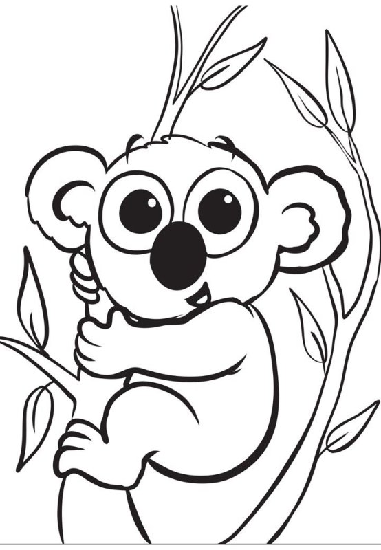 Коала. Раскраска