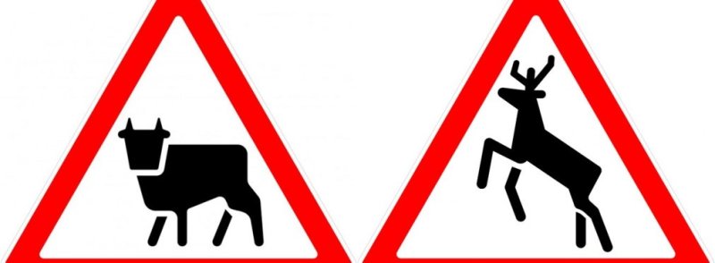 Предупреждающие знаки Дикие животные