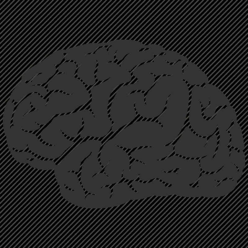 Мозг вектор