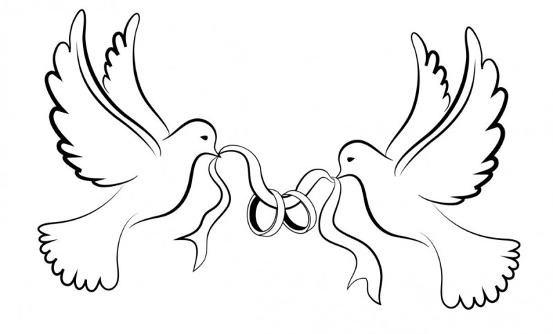 Голуби на свадьбу рисунок