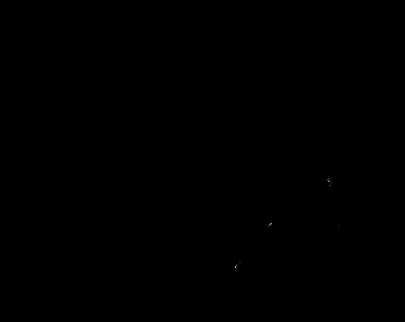 Растровые изображения животных