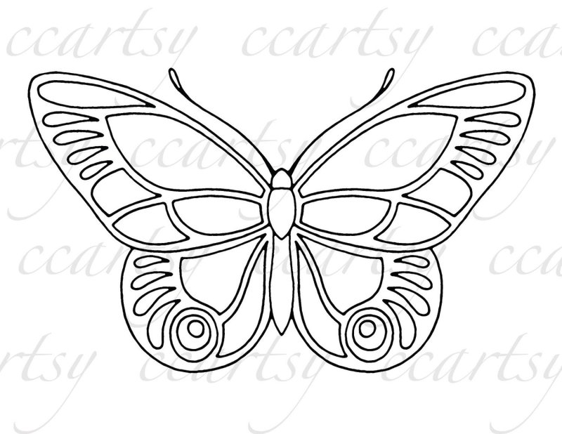 Бабочка трафарет для броши