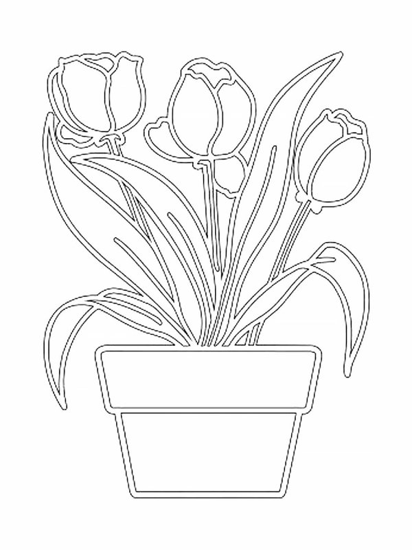 Цветы в горшке на окна трафареты