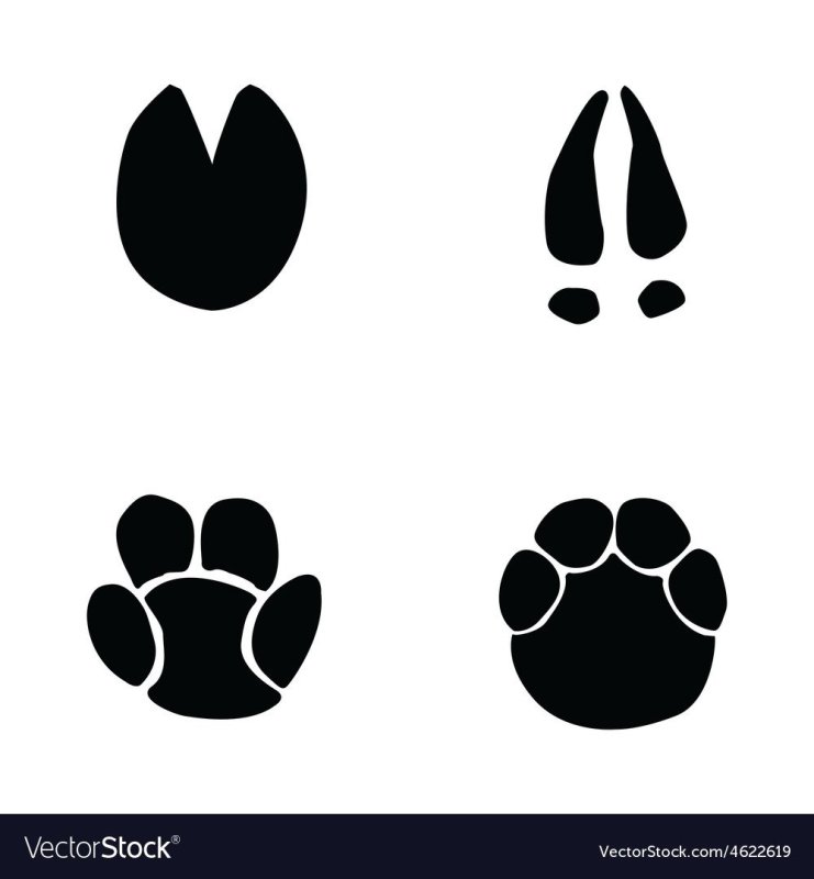 Отпечаток копыта