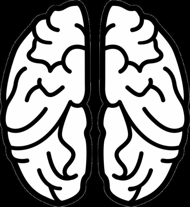 Мозг рисунок