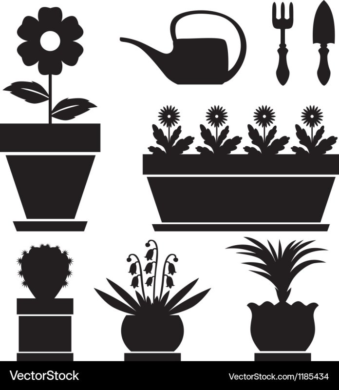 Силуэты горшечных растений