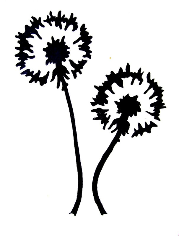 Одуванчик трафарет