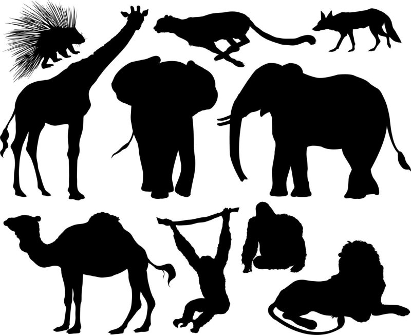 Чёрные силуэты животных
