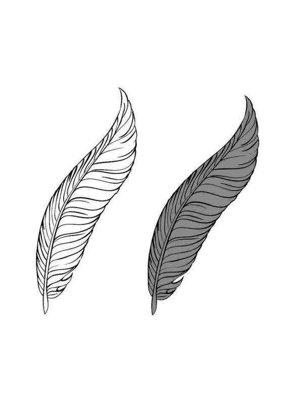 Перо рисунок